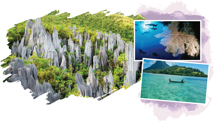 About Borneo Travel Network