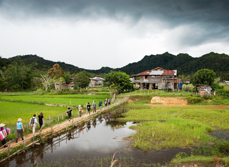 4D3N Bario Highlands Adventure
