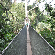 Kinabalu Park + Poring Hot Spring