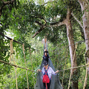Kinabalu Park + Poring Hot Spring