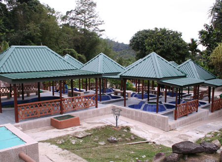 Kinabalu Park + Poring Hot Spring
