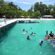 Pulau Tiga (Survivor Island)