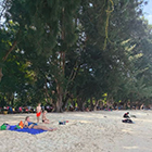 Kota Kinabalu Private Boat Charter Service ( Tunku Abdul Rahman National Park)