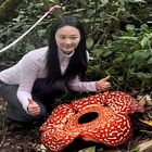 Tambunan Rafflesia Centre