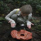 Tambunan Rafflesia Centre