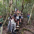 Tambunan Rafflesia Centre + Mangrove Cruise & Fireflies