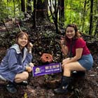 Tambunan Rafflesia Centre + Mangrove Cruise & Fireflies