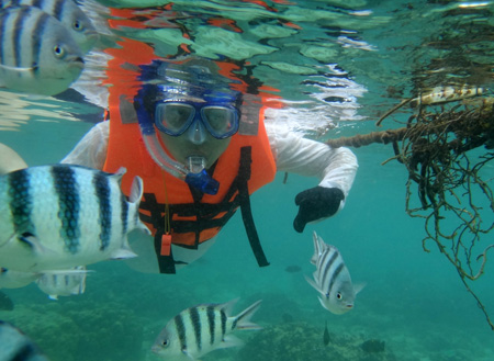 3D2N Kota Kinabalu + Island Excursion