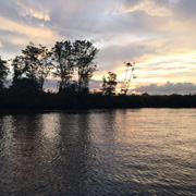 Mari Mari Cultural Village + Mangrove Cruise & Fireflies