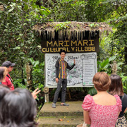 Mari Mari Cultural Village + Mangrove Cruise & Fireflies