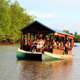 Kawa Kawa Mangrove And Fireflies Cruise