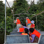 Klias Mangrove & Fireflies