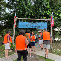 Klias Mangrove & Fireflies