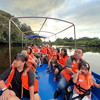 Klias Mangrove & Fireflies