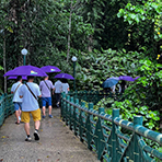 3D2N Kundasang + Kinabalu Park Heritage