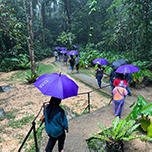 3D2N Kundasang + Kinabalu Park Heritage