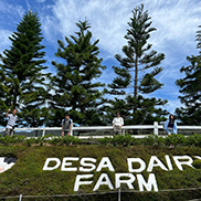 4D3N Kota Kinabalu + Kinabalu Park Heritage + Cultural Village + Mangroves Cruise & Fireflies ( 1 Night stay at Kundasang )