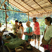 4D3N Kota Kinabalu + Kinabalu Park Heritage + Cultural Village + Mangroves Cruise & Fireflies ( 1 Night stay at Kundasang )