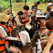 4D3N Kota Kinabalu + Kinabalu Park Heritage + Cultural Village + Mangroves Cruise & Fireflies ( 1 Night stay at Kundasang )