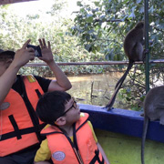 Kota Kinabalu City Tours + Mangrove And Fireflies Cruise