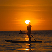 Stand Up Paddle Board ( Sunset )