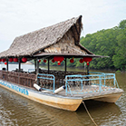 BINSULUK RIVER CRUISE (Probasics Monkey & Fireflies)