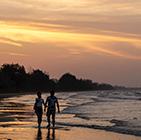 BINSULUK RIVER CRUISE (Probasics Monkey & Fireflies)