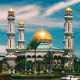 Full Day Brunei City Tour
