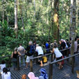 Semenggoh Orang Utan Nature Reserve