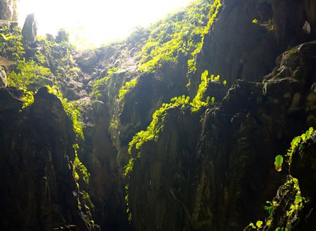 Fairy & Wind cave Tours