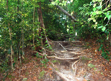 3D2N Bako National Park - Natural Trekking