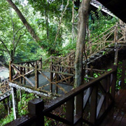 3D2N Tabin Wildlife Safari