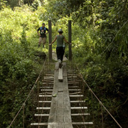 3D2N Tabin Wildlife Safari
