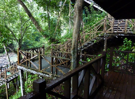 3D2N Tabin Wildlife Safari