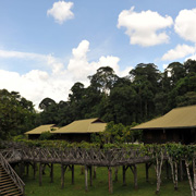 3D2N Danum Valley Rainforest Experience