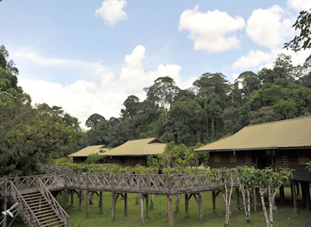 3D2N Danum Valley Rainforest Experience
