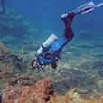 Payar Island Fun Dive - For Cert Diver