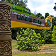 Lambir Hills National Park