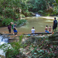 Borneo Tropical Rainforest Resort Tours