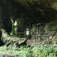 Niah National Park - Niah Cave Tours