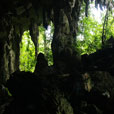 Niah National Park - Niah Cave Tours