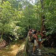 Niah National Park - Niah Cave Tours