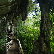 Niah National Park - Niah Cave Tours