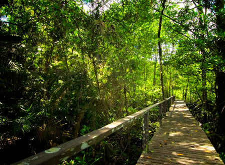 2D1N Similajau National Park