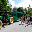 2D1N Borneo Tropical Rainforest Resort Tours