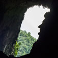 4D3N Miri City + Mulu Caves