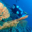 Miri Fun Dive (Miri-Sibuti Coral Reefs National Park) - For Cert Diver