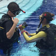 PADI Open Water Diving Course
