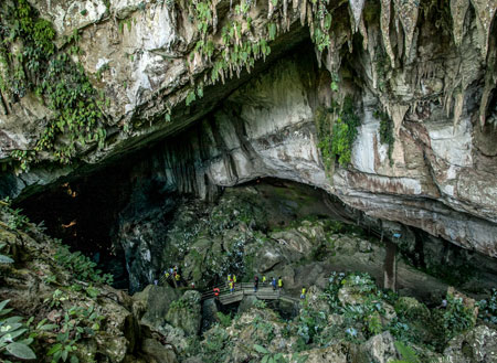 2D1N Mulu Caves