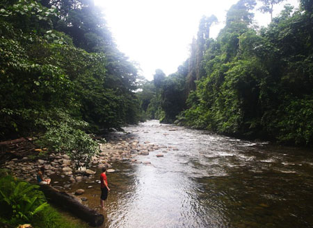 3D2N Mulu Headhunter Trails